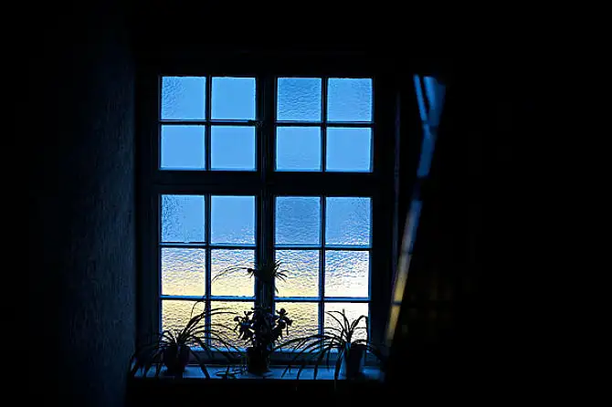 1654938641220916.png 4.png